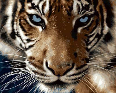 Рисование по дереву по номерам Взгляд тигра 30х40 Рыжий кот