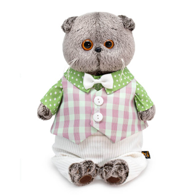 Басик в легком костюме Ks30-241