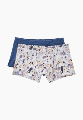 Трусы для мальчиков Ritta Romani WOLVES 1 шт