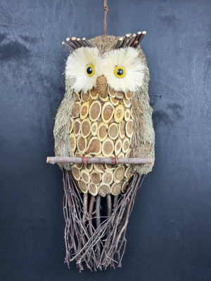 Сова большая