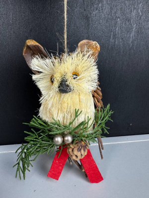 Сова с шишкой