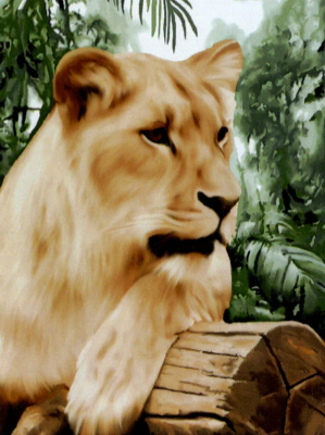 Алмазная мозаика KiKi Львица 30*40 полная выкладка