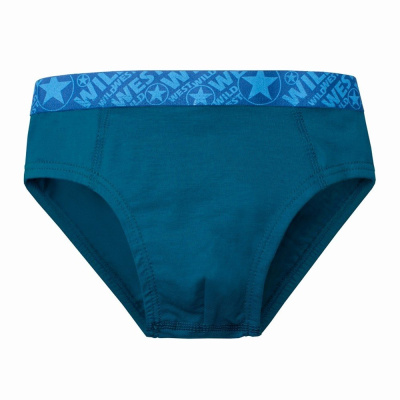 Трусы-брифы для мальчика Pacco Boo