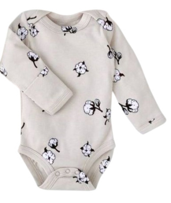 Боди с длинным рукавом Carrot Lover our planet серый