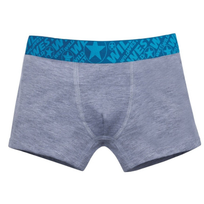 Боксеры для мальчика Pacco Boo