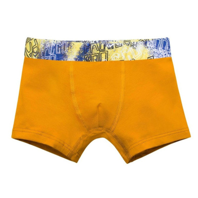 Боксеры для мальчика Pacco Boo