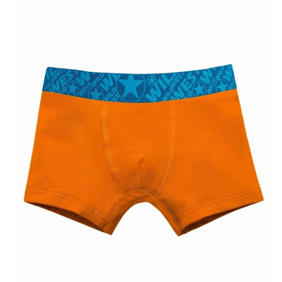Боксеры для мальчика Pacco Boo