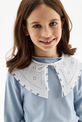 Воротник Silver Spoon