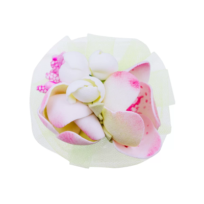 Резинка большая Эйфория Malina by Andersen