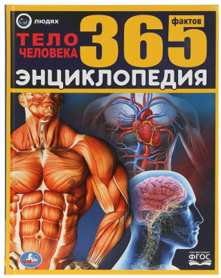 ЭНЦИКЛОПЕДИЯ ТЕЛО ЧЕЛОВЕКА 365 ФАКТОВ УМКА