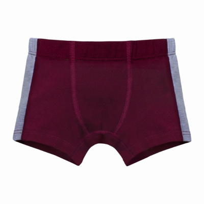 Боксеры для мальчика Pacco Boo